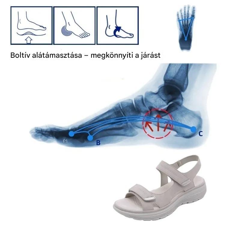[🎉Tagoknak exkluzív ajánlat]Ergonomikusan formázott ortopéd szandálok – fájdalommentes séta👞 Kényelmesebb járást biztosítanak
