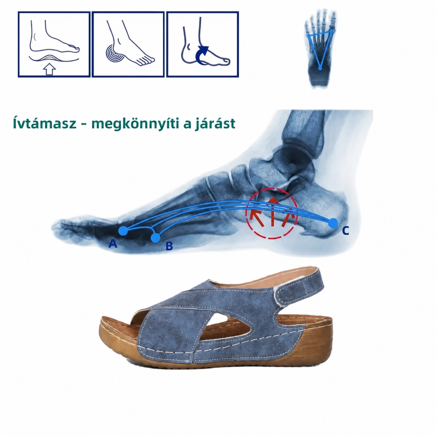 [🎉Tagoknak exkluzív ajánlat]Ergonomikus kialakítású ortopéd szandál - fájdalommentes járás 👞 kényelmesebbé teszi a sétát