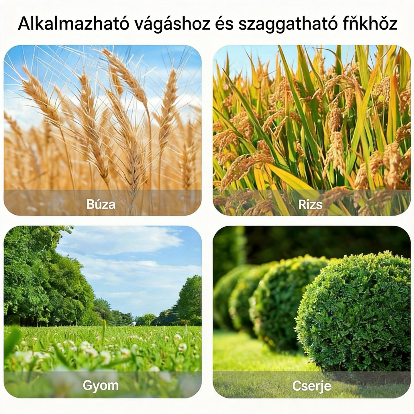 [🎉Tagoknak exkluzív ajánlat]Megerősített és tartós univerzális 6 pengés fűnyíró kés 🌿 erős fű- és bozótvágás, éles és hatékony 💪🔥